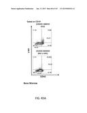 NON-HUMAN ANIMALS WITH MODIFIED IMMUNOGLOBULIN HEAVY CHAIN SEQUENCES diagram and image