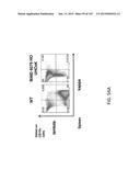 NON-HUMAN ANIMALS WITH MODIFIED IMMUNOGLOBULIN HEAVY CHAIN SEQUENCES diagram and image