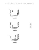 NON-HUMAN ANIMALS WITH MODIFIED IMMUNOGLOBULIN HEAVY CHAIN SEQUENCES diagram and image