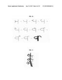 METHOD FOR FORMING ORNAMENTAL TREE BY PRUNING AND INDUCING GROWTH OF     BRANCHES diagram and image