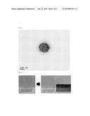 ORGANIC/INORGANIC NANOCOMPOSITE CAPABLE OF ADSORPTION/DESORPTION OF METAL     IONS, AND PREPARATION METHOD THEREOF diagram and image