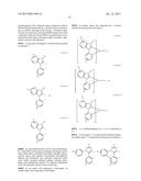 ORGANIC ELECTROLUMINESCENT MATERIALS AND DEVICES diagram and image