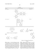 ORGANIC ELECTROLUMINESCENT MATERIALS AND DEVICES diagram and image