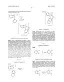 ORGANIC ELECTROLUMINESCENT MATERIALS AND DEVICES diagram and image