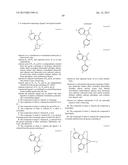 ORGANIC ELECTROLUMINESCENT MATERIALS AND DEVICES diagram and image