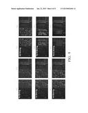 SYSTEM FOR COLLECTING & PROCESSING AERIAL IMAGERY WITH ENHANCED 3D & NIR     IMAGING CAPABILITY diagram and image