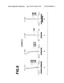 IMAGING LENS AND IMAGING APPARATUS EQUIPPED WITH THE IMAGING LENS diagram and image