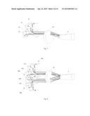 LIGHT SOURCE AND DISPLAY SYSTEM diagram and image