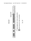 ALIGNMENT CIRCUIT AND RECEIVING APPARATUS diagram and image