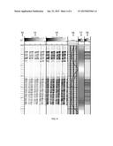 SYSTEM AND METHOD FOR ESTIMATING POROSITY DISTRIBUTION IN SUBTERRANEAN     RESERVOIRS diagram and image