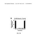 FLUORIDE-RESPONSIVE RIBOSWITCHS, FLUORIDE TRANSPORTERS, AND METHODS OF USE diagram and image