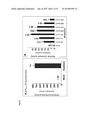 REACTIVATION OF HIV-1 GENE EXPRESSION TO TREAT PERSISTENT HIV INFECTION diagram and image