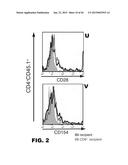 INDUCTION OF TOLERANCE IN LUNG ALLOGRAFT TRANSPLANTATION diagram and image