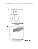 INDUCTION OF TOLERANCE IN LUNG ALLOGRAFT TRANSPLANTATION diagram and image