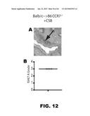 INDUCTION OF TOLERANCE IN LUNG ALLOGRAFT TRANSPLANTATION diagram and image