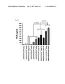 VARIANT AAV AND COMPOSITIONS, METHODS AND USES FOR GENE TRANSFER TO CELLS,     ORGANS AND TISSUES diagram and image