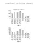 METHODS FOR TREATMENT OF ONCOLOGICAL DISORDERS USING AN EPIMETABOLIC     SHIFTER (COENZYME Q10) diagram and image