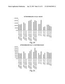 METHODS FOR TREATMENT OF ONCOLOGICAL DISORDERS USING AN EPIMETABOLIC     SHIFTER (COENZYME Q10) diagram and image