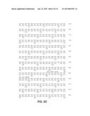 ANTI-VEGF ANTIBODIES diagram and image