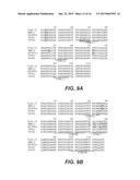 ANTI-VEGF ANTIBODIES diagram and image