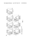 COMBINATION THERAPIES USING ANTI-PSEUDOMONAS PSL AND PCRV BINDING     MOLECULES diagram and image