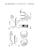 COMBINATION THERAPIES USING ANTI-PSEUDOMONAS PSL AND PCRV BINDING     MOLECULES diagram and image