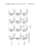 COMBINATION THERAPIES USING ANTI-PSEUDOMONAS PSL AND PCRV BINDING     MOLECULES diagram and image