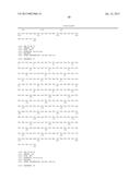 COMBINATION THERAPIES USING ANTI-PSEUDOMONAS PSL AND PCRV BINDING     MOLECULES diagram and image