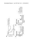 COMBINATION THERAPIES USING ANTI-PSEUDOMONAS PSL AND PCRV BINDING     MOLECULES diagram and image