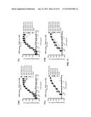 COMBINATION THERAPIES USING ANTI-PSEUDOMONAS PSL AND PCRV BINDING     MOLECULES diagram and image