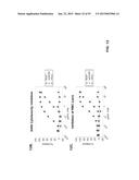 COMBINATION THERAPIES USING ANTI-PSEUDOMONAS PSL AND PCRV BINDING     MOLECULES diagram and image