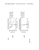 COMBINATION THERAPIES USING ANTI-PSEUDOMONAS PSL AND PCRV BINDING     MOLECULES diagram and image