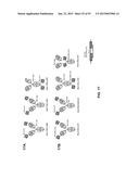 COMBINATION THERAPIES USING ANTI-PSEUDOMONAS PSL AND PCRV BINDING     MOLECULES diagram and image