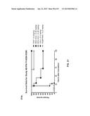 COMBINATION THERAPIES USING ANTI-PSEUDOMONAS PSL AND PCRV BINDING     MOLECULES diagram and image