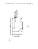 COMBINATION THERAPIES USING ANTI-PSEUDOMONAS PSL AND PCRV BINDING     MOLECULES diagram and image