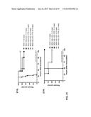 COMBINATION THERAPIES USING ANTI-PSEUDOMONAS PSL AND PCRV BINDING     MOLECULES diagram and image