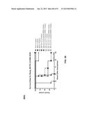 COMBINATION THERAPIES USING ANTI-PSEUDOMONAS PSL AND PCRV BINDING     MOLECULES diagram and image