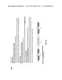 COMBINATION THERAPIES USING ANTI-PSEUDOMONAS PSL AND PCRV BINDING     MOLECULES diagram and image