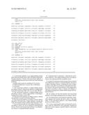 ANTI MIF ANTIBODIES diagram and image