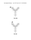 POTENT AND SELECTIVE INHIBITORS OF NAV1.7 diagram and image