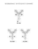 POTENT AND SELECTIVE INHIBITORS OF NAV1.7 diagram and image