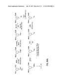 POTENT AND SELECTIVE INHIBITORS OF NAV1.7 diagram and image