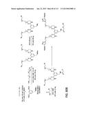 POTENT AND SELECTIVE INHIBITORS OF NAV1.7 diagram and image