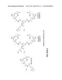 POTENT AND SELECTIVE INHIBITORS OF NAV1.7 diagram and image