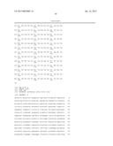 METHOD FOR THE PRODUCTION OF RECOMBINANT VIRUS, DNA CONSTRUCTS,     RECOMBINANT VIRUS AND VACCINE COMPOSITIONS diagram and image