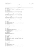 METHOD FOR THE PRODUCTION OF RECOMBINANT VIRUS, DNA CONSTRUCTS,     RECOMBINANT VIRUS AND VACCINE COMPOSITIONS diagram and image