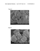 COMPOSITION AND DRESSING WITH NITRIC OXIDE diagram and image