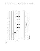 SEMI-SOLID ELECTRODES WITH GEL POLYMER ADDITIVE diagram and image