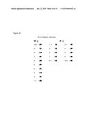 Noble s Columns diagram and image