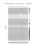 Expression of SEP-like Genes for Identifying and Controlling Palm Plant     Shell Phenotypes diagram and image